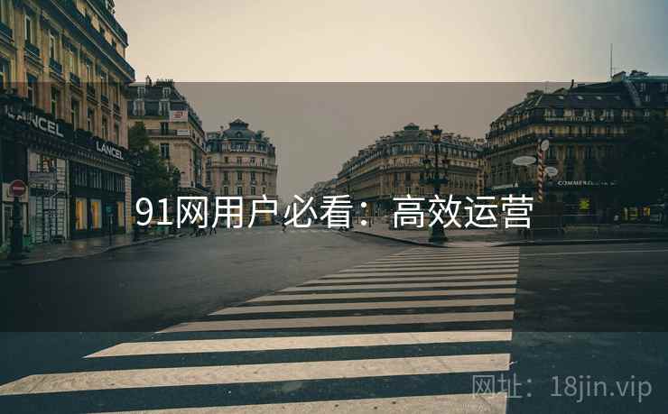 91网用户必看：高效运营