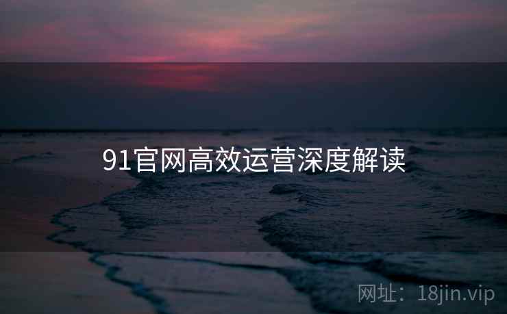 91官网高效运营深度解读