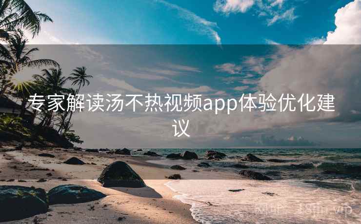 专家解读汤不热视频app体验优化建议